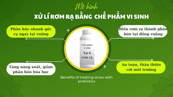 Chế phẩm vi sinh